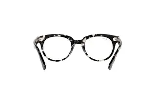 Achteraanzicht Ray-Ban RX2199V (8117)