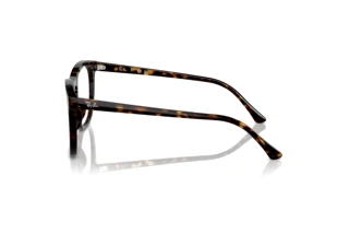 Zijaanzicht Ray-Ban RX2210V (2012)