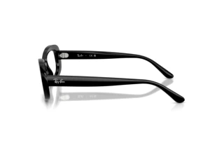 Zijaanzicht Ray-Ban RX2221V (2000)