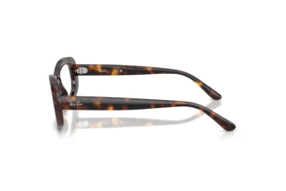 Zijaanzicht Ray-Ban RX2221V (2012)