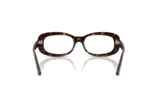 Achteraanzicht Ray-Ban RX2221V (2012)