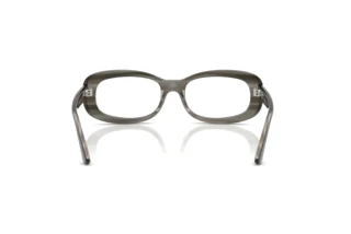 Achteraanzicht Ray-Ban RX2221V (8453)