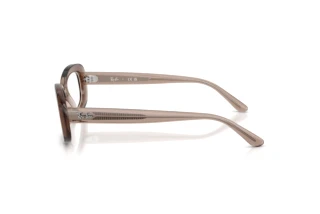 Zijaanzicht Ray-Ban RX2221V (8457)