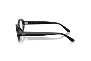 Zijaanzicht Ray-Ban RX2223V (2000)