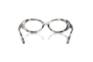 Achteraanzicht Ray-Ban RX2223V (8480)