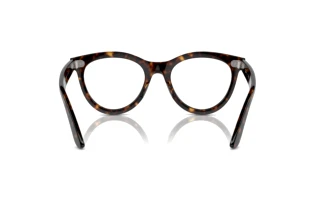 Achteraanzicht Ray-Ban WAYFARER WAY (RX2241V - 2012)