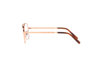 Zijaanzicht Ray-Ban NEW CARAVAN (RX3636V - 3094)