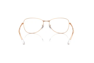 Achteraanzicht Ray-Ban RX3733V (3094)