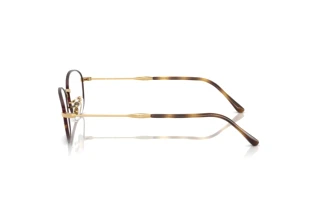 Zijaanzicht Ray-Ban RX3749V (3177)