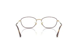 Achteraanzicht Ray-Ban RX3749V (3177)