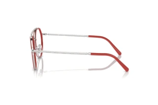 Zijaanzicht Ray-Ban RX3765V (2501)