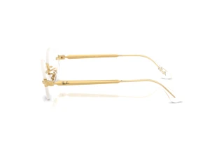 Zijaanzicht Ray-Ban RX3929V (2500)