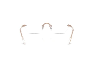 Achteraanzicht Ray-Ban RX3929V (3207)