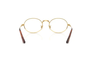 Achteraanzicht Ray-Ban RX3931V (2500)