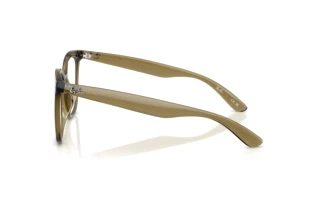 Zijaanzicht Ray-Ban RX4379VD (8445)