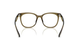 Achteraanzicht Ray-Ban RX4379VD (8445)