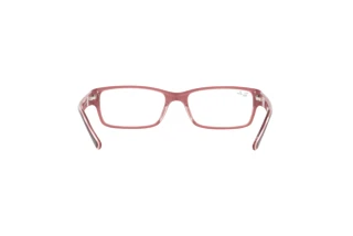 Achteraanzicht Ray-Ban RX5169 (8120)