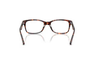 Achteraanzicht Ray-Ban RX5228 (8423)