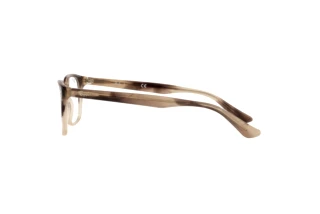 Zijaanzicht Ray-Ban RX5375 (8107)
