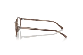 Zijaanzicht Ray-Ban LEONARD (RX5393 - 8360)