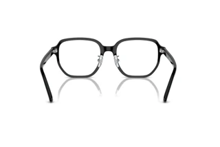 Achteraanzicht Ray-Ban RX5424D (2000)