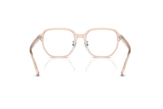 Achteraanzicht Ray-Ban RX5424D (8267)