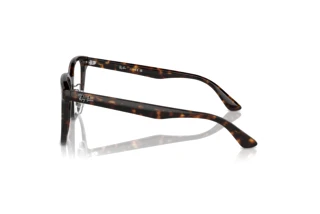 Zijaanzicht Ray-Ban RX5425D (2012)