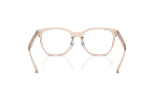 Achteraanzicht Ray-Ban RX5425D (8267)