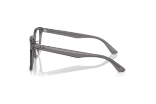 Zijaanzicht Ray-Ban RX5425D (8268)