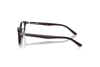 Zijaanzicht Ray-Ban RX5427D (8290)