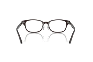Achteraanzicht Ray-Ban RX5427D (8290)