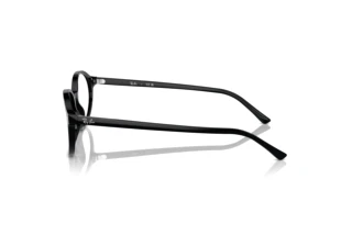 Zijaanzicht Ray-Ban GERMAN (RX5429 - 2000)