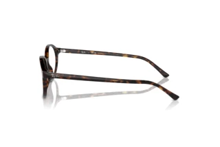 Zijaanzicht Ray-Ban GERMAN (RX5429 - 2012)
