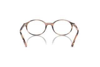 Achteraanzicht Ray-Ban GERMAN (RX5429 - 8358)