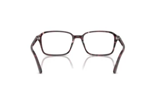 Achteraanzicht Ray-Ban RAIMOND (RX5431 - 8393)