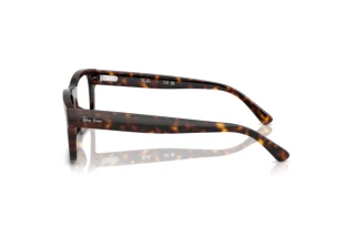 Zijaanzicht Ray-Ban RX5435 (2012)