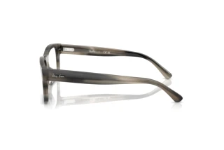 Zijaanzicht Ray-Ban RX5435 (8404)