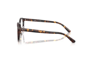 Zijaanzicht Ray-Ban RX5443D (2012)