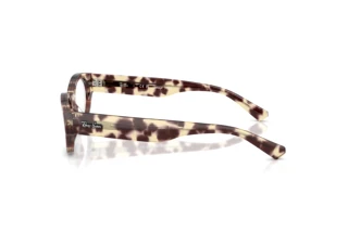 Zijaanzicht Ray-Ban RX5447 (8459)