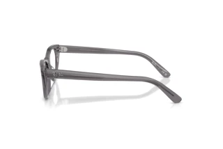 Zijaanzicht Ray-Ban RX5449D (8268)