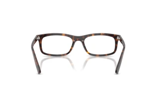 Achteraanzicht Ray-Ban RX5450 (2012)