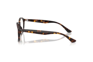 Zijaanzicht Ray-Ban RX5451 (2012)