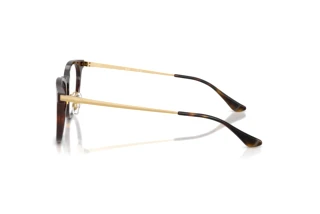 Zijaanzicht Ray-Ban RX5453D (2012)