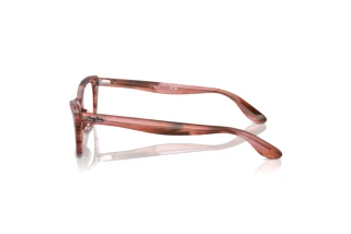 Zijaanzicht Ray-Ban LADY BURBANK (RX5499 - 8363)