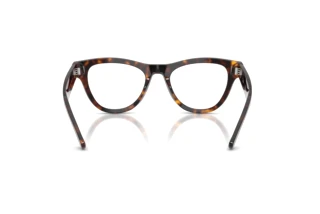 Achteraanzicht Ray-Ban RX5510 (2012)