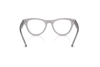 Achteraanzicht Ray-Ban RX5510 (2102)