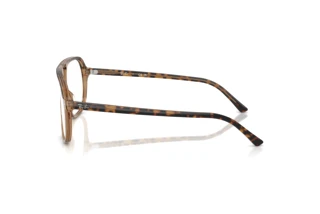 Zijaanzicht Ray-Ban RX5698 (8109)