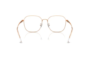 Achteraanzicht Ray-Ban RX6490D (3094)