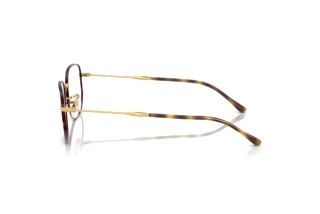 Zijaanzicht Ray-Ban RX6496 (3177)
