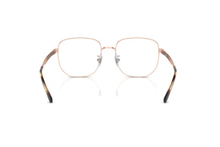Achteraanzicht Ray-Ban RX6503D (2943)